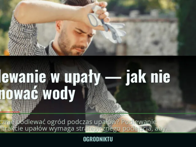 Podlewanie w upały — jak nie marnować wody