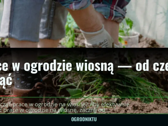 Prace w ogrodzie wiosną — od czego zacząć