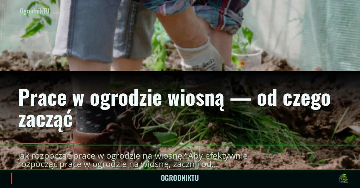 Prace w ogrodzie wiosną — od czego zacząć