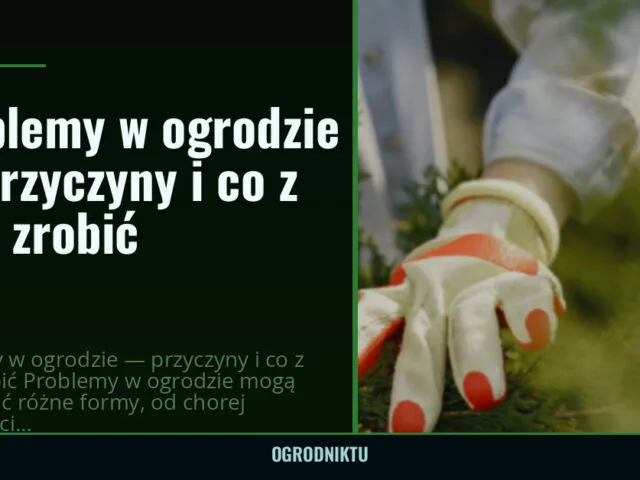 Problemy w ogrodzie — przyczyny i co z nimi zrobić