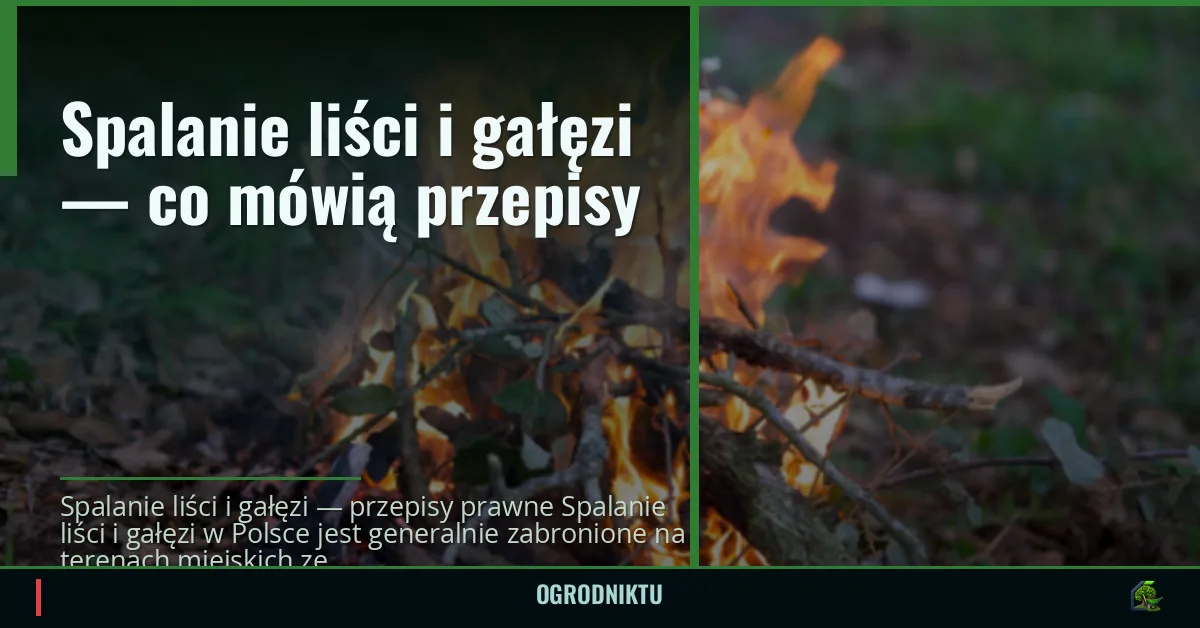 Spalanie liści i gałęzi — co mówią przepisy