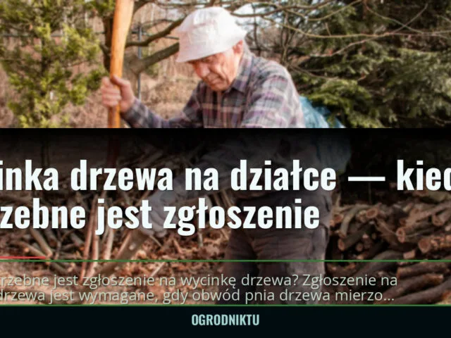 Wycinka drzewa na działce — kiedy potrzebne jest zgłoszenie — ogrodniktu.pl