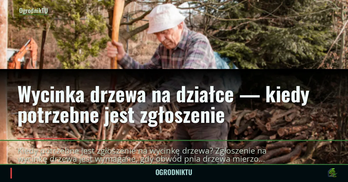 Wycinka drzewa na działce — kiedy potrzebne jest zgłoszenie