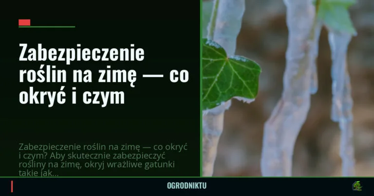 Zabezpieczenie roślin na zimę — co okryć i czym — ogrodniktu.pl