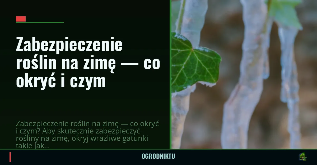 Zabezpieczenie roślin na zimę — co okryć i czym
