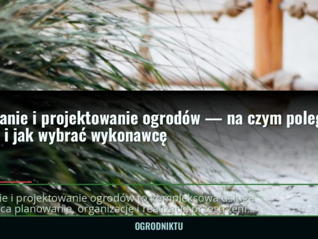 Zakładanie i projektowanie ogrodów — na czym polega usługa i jak wybrać wykonawcę