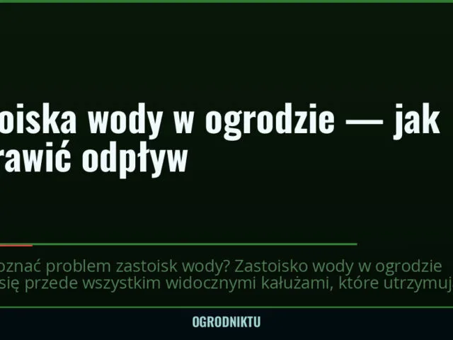 Zastoiska wody w ogrodzie — jak poprawić odpływ