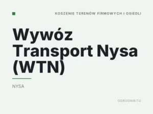 Wywóz Transport Nysa (WTN)