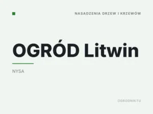 OGRÓD Litwin