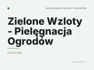 Zielone Wzloty – Pielęgnacja Ogrodów
