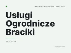 Usługi Ogrodnicze Braciki