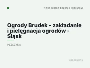 Ogrody Brudek – zakładanie i pielęgnacja ogrodów – Śląsk