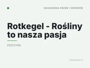 Rotkegel – Rośliny to nasza pasja