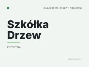 Szkółka Drzew