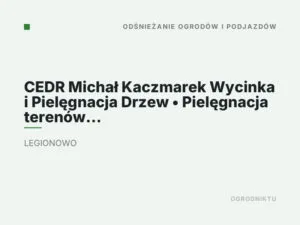 CEDR Michał Kaczmarek Wycinka i Pielęgnacja Drzew • Pielęgnacja terenów zielonych • Odśnieżanie.