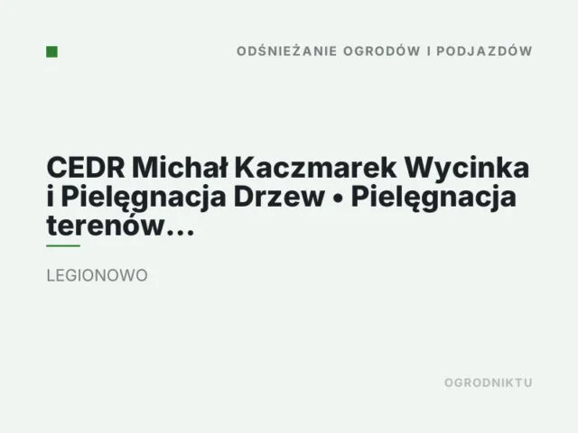 CEDR Michał Kaczmarek Wycinka i Pielęgnacja Drzew • Pielęgnacja terenów zielonych • Odśnieżanie.