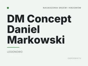 DM Concept Daniel Markowski