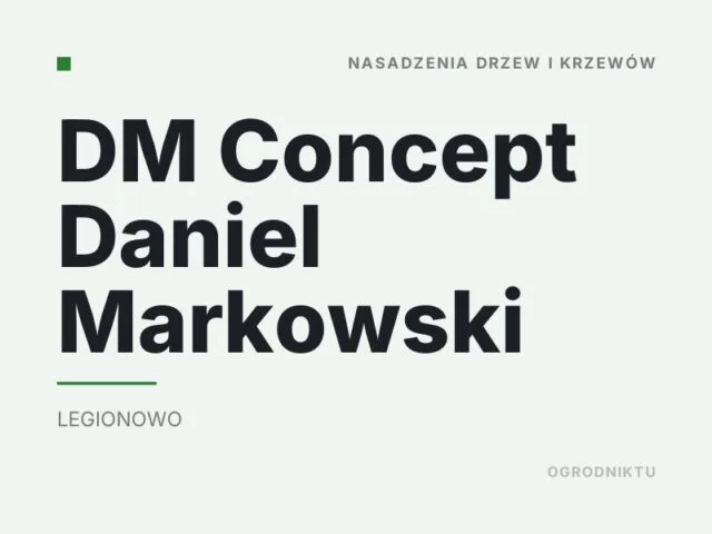 DM Concept Daniel Markowski
