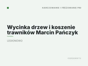 Wycinka drzew i koszenie trawników Marcin Pańczyk
