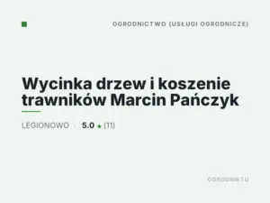 Wycinka drzew i koszenie trawników Marcin Pańczyk