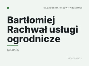 Bartłomiej Rachwał usługi ogrodnicze