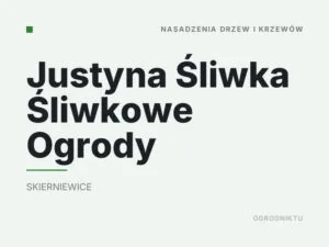 Justyna Śliwka Śliwkowe Ogrody