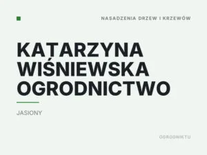 Katarzyna Wiśniewska Ogrodnictwo