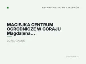 MACIEJKA CENTRUM OGRODNICZE W GORAJU Magdalena Przesłańska
