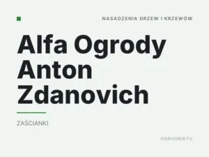 Alfa Ogrody Anton Zdanovich