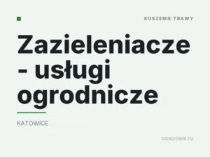 Zazieleniacze – usługi ogrodnicze