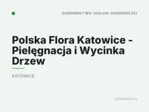 Polska Flora Katowice – Pielęgnacja i Wycinka Drzew