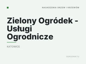 Zielony Ogródek – Usługi Ogrodnicze