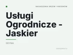Usługi Ogrodnicze – Jaskier
