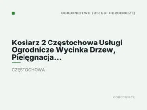 Kosiarz 2 Częstochowa Usługi Ogrodnicze Wycinka Drzew, Pielęgnacja Zieleni,Zakładanie Ogrodow