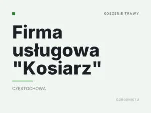 Firma usługowa „Kosiarz”
