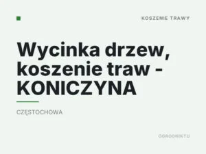 Wycinka drzew, koszenie traw – KONICZYNA