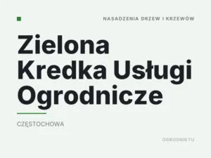 Zielona Kredka Usługi Ogrodnicze