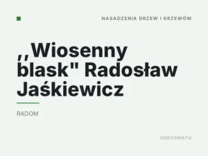 ,,Wiosenny blask” Radosław Jaśkiewicz
