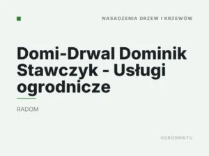 Domi-Drwal Dominik Stawczyk – Usługi ogrodnicze