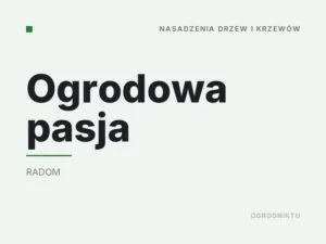 Ogrodowa pasja