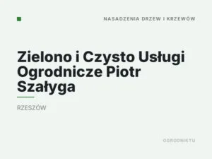 Zielono i Czysto Usługi Ogrodnicze Piotr Szałyga