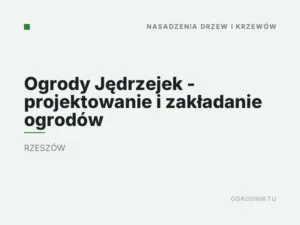 Ogrody Jędrzejek – projektowanie i zakładanie ogrodów