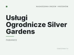Usługi Ogrodnicze Silver Gardens