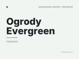 Ogrody Evergreen