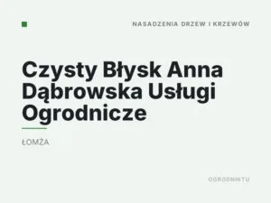 Czysty Błysk Anna Dąbrowska Usługi Ogrodnicze