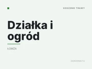 Działka i ogród