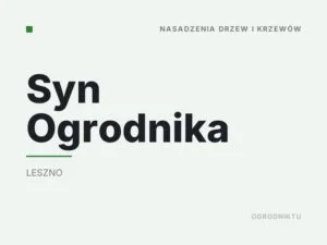 Syn Ogrodnika