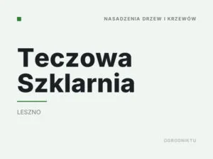 Teczowa Szklarnia