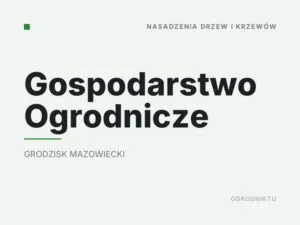 Gospodarstwo Ogrodnicze