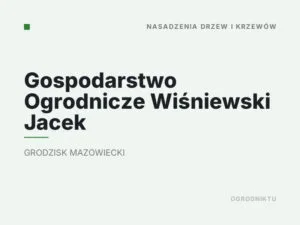 Gospodarstwo Ogrodnicze Wiśniewski Jacek